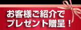 紹介プレゼント
