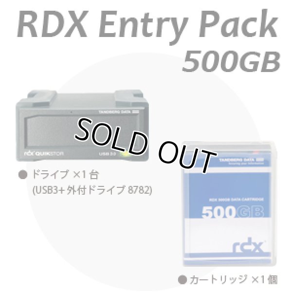 画像1: 【RDXセット】Tandberg Data　RDX エントリーパック 500GB RDX500E (1)